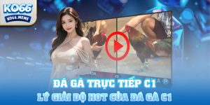 Đá gà trực tiếp c1