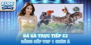 Đá gà trực tiếp c2