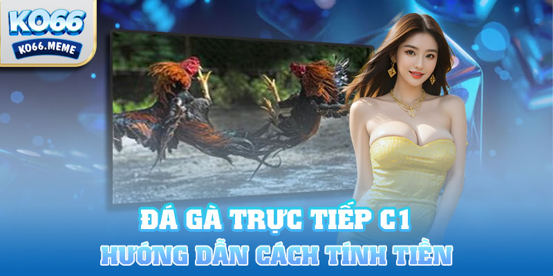 Hướng dẫn cách tính tiền trong chọi gà trực tiếp C1