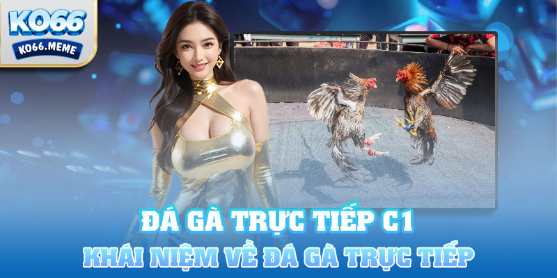 Khái niệm về đá gà trực tiếp C1 là gì?