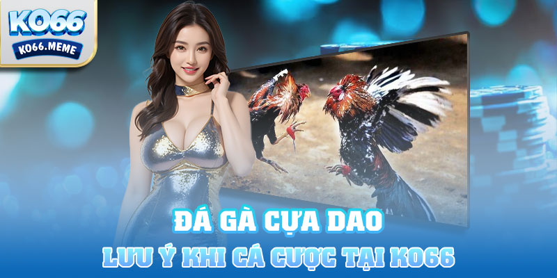 Lưu ý khi chơi Đá gà cựa dao tại Ko66