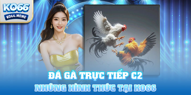 Những hình thức đá gà hấp dẫn tại Ko66