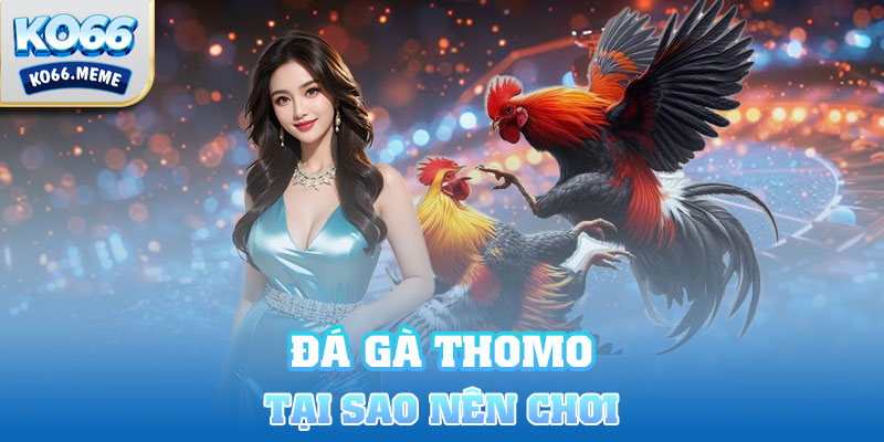 Tại sao nên chơi Đá gà Thomo?