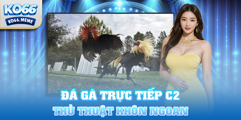 Thủ thuật khôn ngoan cần áp dụng khi đá gà