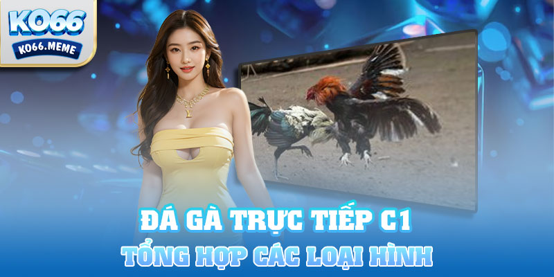 Tổng hợp các loại hình đá gà trực tiếp C1 hiện nay