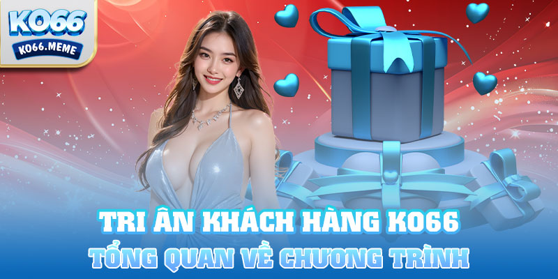 Tổng quan về chương trình tri ân khách hàng của đơn vị