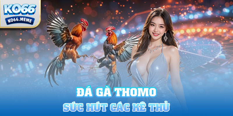 Đá gà Thomo