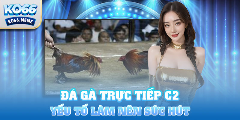 Yếu tố làm nên sức hút cho Đá gà trực tiếp C2